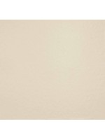 Couvre-joint PVC 50 x 2,5 mm (longueur 3m) beige RAL 1015