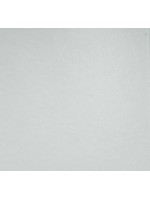 Couvre-joint PVC 50 x 2,5 mm (longueur 3m) gris clair RAL 7035