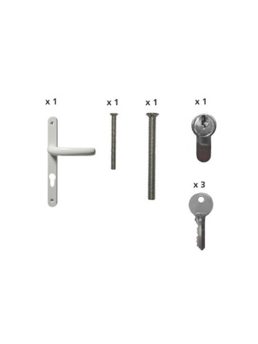 Poignée double béquille inox + 2 vis M4x80 + Cylindre 40/50 + 3 clés